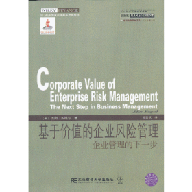 正版书威立金融经典译丛：基于价值的企业风险管理:企业管理的下一步