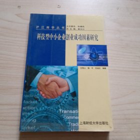 科技型中小企业创业成功因素研究