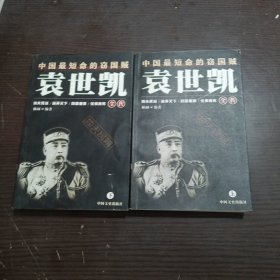 袁世凯全传  上下