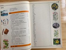 319种中国野菜图鉴.