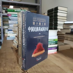 中国少数民族特需商品传统生产工艺和技术保护工程第十期工程--中国民族药成药目录（上下卷）