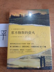 那不勒斯的萤火（被誉为欧美文坛近十年来的“灯塔”巨作，跟《追风筝的人》《阿甘正传》一样震撼灵魂、给人力量。）