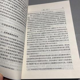 国家能源安全报告