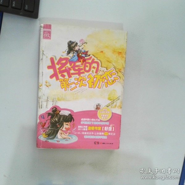 将军的第二次初恋