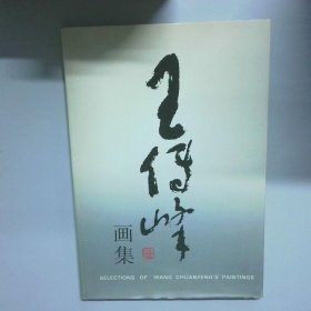王传峰画集