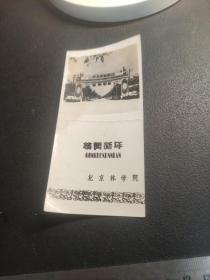 老照片  恭贺新年，北京林学院