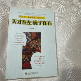 天才在左 疯子在右：国内第一本精神病人访谈手记