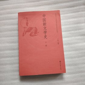 中国新文学史（下册）