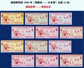 1996年湖南省怀化市黔阳县安江城区购粮券大米票1-12月份全套12枚，96年黔阳县粮票