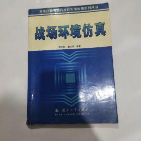 战场环境仿真