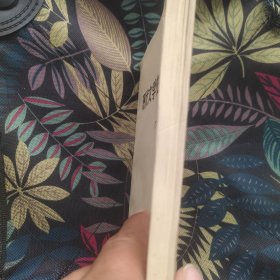 骂人的艺术：中国现代文学史参考资料 新月派文学作品专辑