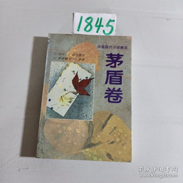 中国现代小说精品.茅盾卷