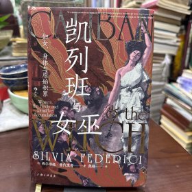 【精装正版】智慧宫·凯列班与女巫：妇女、身体与原始积累9787542680525
