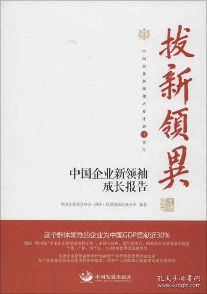 拔新领异 中国企业新领袖成长报告