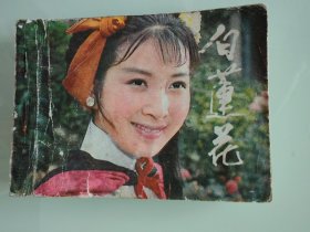 白莲花