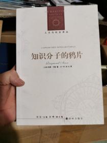 人文与社会译丛：知识分子的鸦片