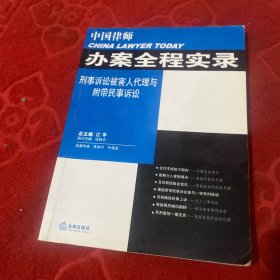 中国律师办案全程实录：刑事诉讼被害人代理与附带民事诉讼