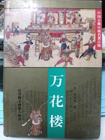 万花楼（中国古典小说名著百部）（精装）