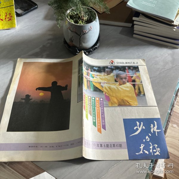 老期刊 少林与太极1991年第6期（总第45期）收录：少林掌指运气法。少林四把功。简化二十八势禅门太极拳（完）。陈式三十八式太极拳。杨氏太极拳拆拳漫谈。学校少林拳选编（二）。棉掌（二）。武当派创始人张三丰。八极拳散手～出招制胜。