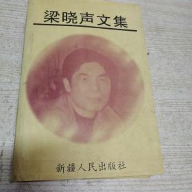 梁晓声文集第三卷