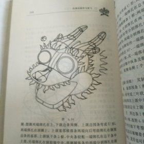 风筝的制作与放飞