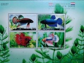 泰国2002年斗鱼小全张