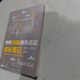 世界500强财务总监成长笔记