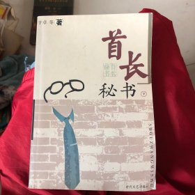 首长秘书（下）