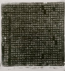 大唐故新城府别奖张翼墓志铭并序 尺寸58CM 志文记载了张府君世袭爵里，配偶子嗣，卒葬时地。 字体非常漂亮的隶书，点画结构严谨，一波三折，蝉头燕尾，特点独特。