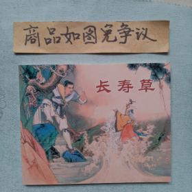 长寿草