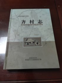齐村志（洛阳市洛龙区李楼镇）
