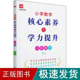 小学数学核心素养与学力提升  一年级1年级下（苏教版)