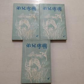 毕珍武侠小说《龙虎兄弟》全三册