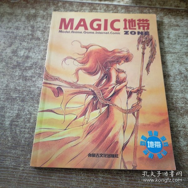 MAGIC地带：《电子游戏软件》杂志特刊