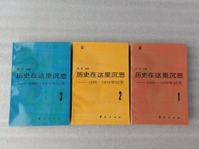 历史在这里沉思1-3：1966-1976年记实【实物拍摄】