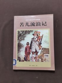 苦儿流浪记