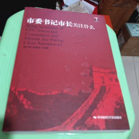 市委书记市长关注什么