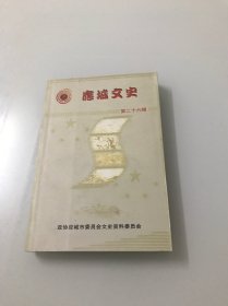 应城文史资料（第二十六辑）