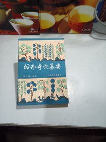 经外奇穴纂要