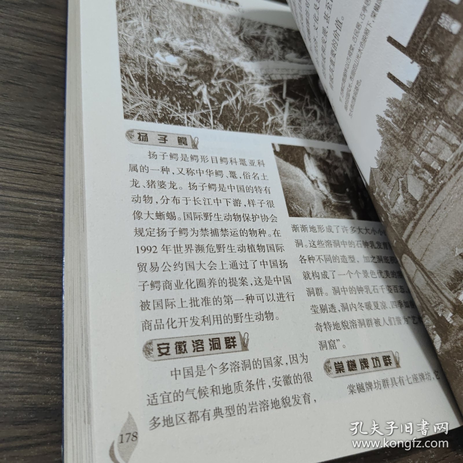 16开新概念阅读书坊(百科)*中国地理胜境