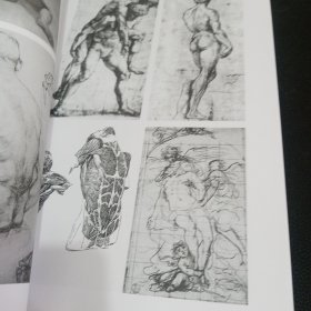 艺用人体解剖学（新1版）