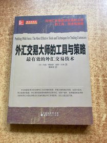 外汇交易大师的工具与策略：最有效的外汇交易技术