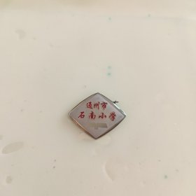 江苏通州市石南小学校徽徽章