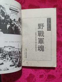 野战军魂:一野将士铁血大西北征战纪实