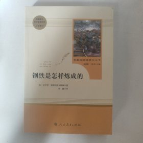 统编语文教材配套阅读 八年级下：钢铁是怎样炼成的/名著阅读课程化丛书