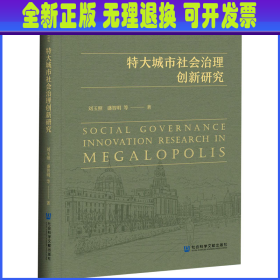 特大城市社会治理创新研究