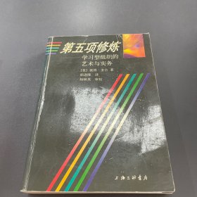 第五项修炼：学习型组织的艺术与实务