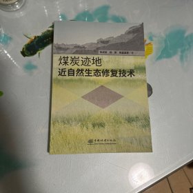 煤炭迹地近自然生态修复技术