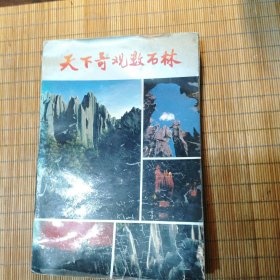 天下奇觀数石林