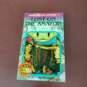 LostontheAmazon